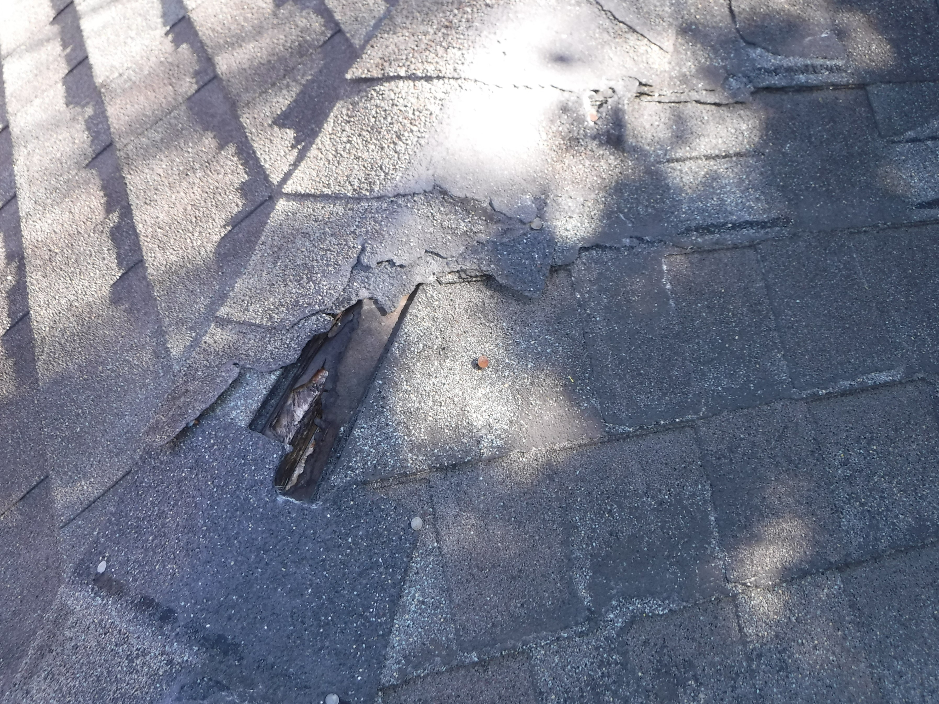 Damaged asphalt roof shingles